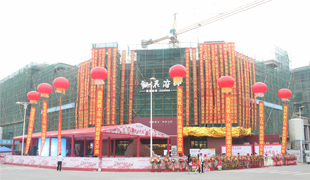 上馬·觀花府邸開(kāi)盤儀式